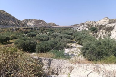 TERRENO EN ALBUDEITE