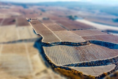 FINCA AGRICOLA CON CASA Y PISCINA EN LA FUENTE DEL PERAL